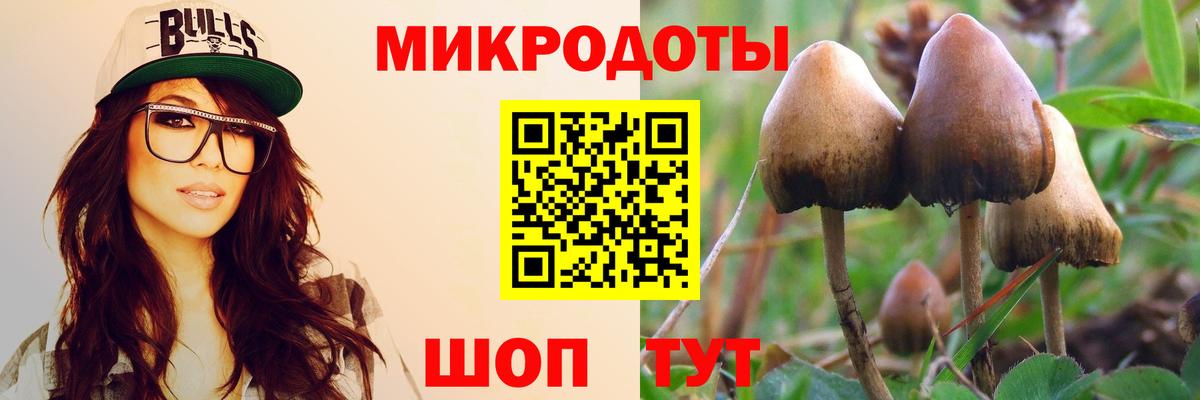 Зеленогорск  хочу наркоту  Вход с VPN  Псилоцибиновые грибы ЛСД 